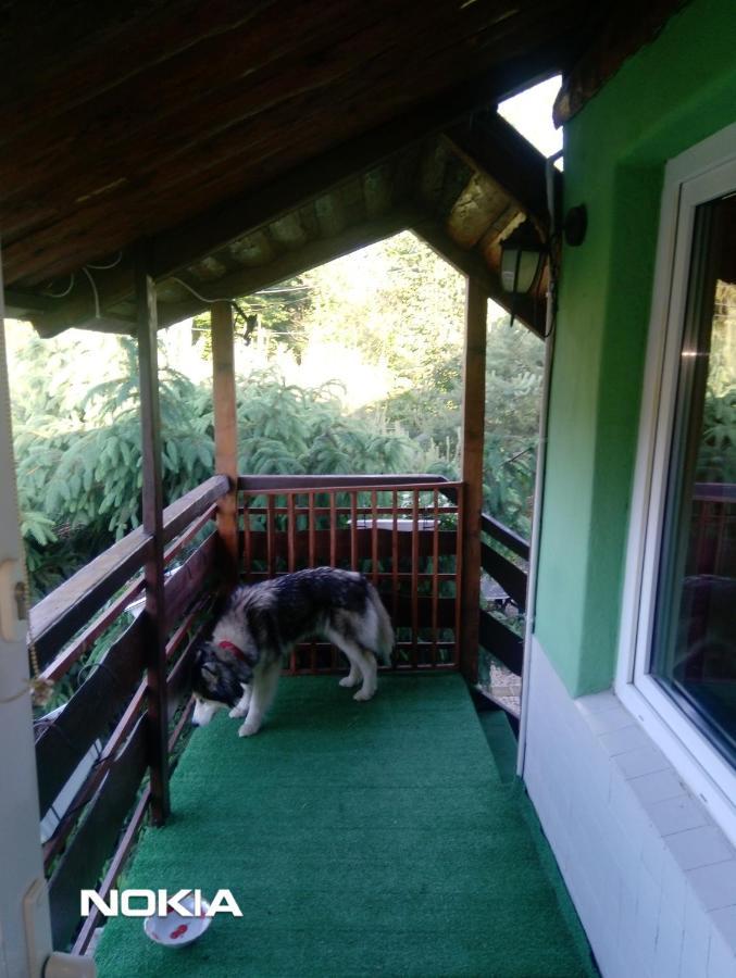 Apartament z ogrodem Szczytna Zewnętrze zdjęcie